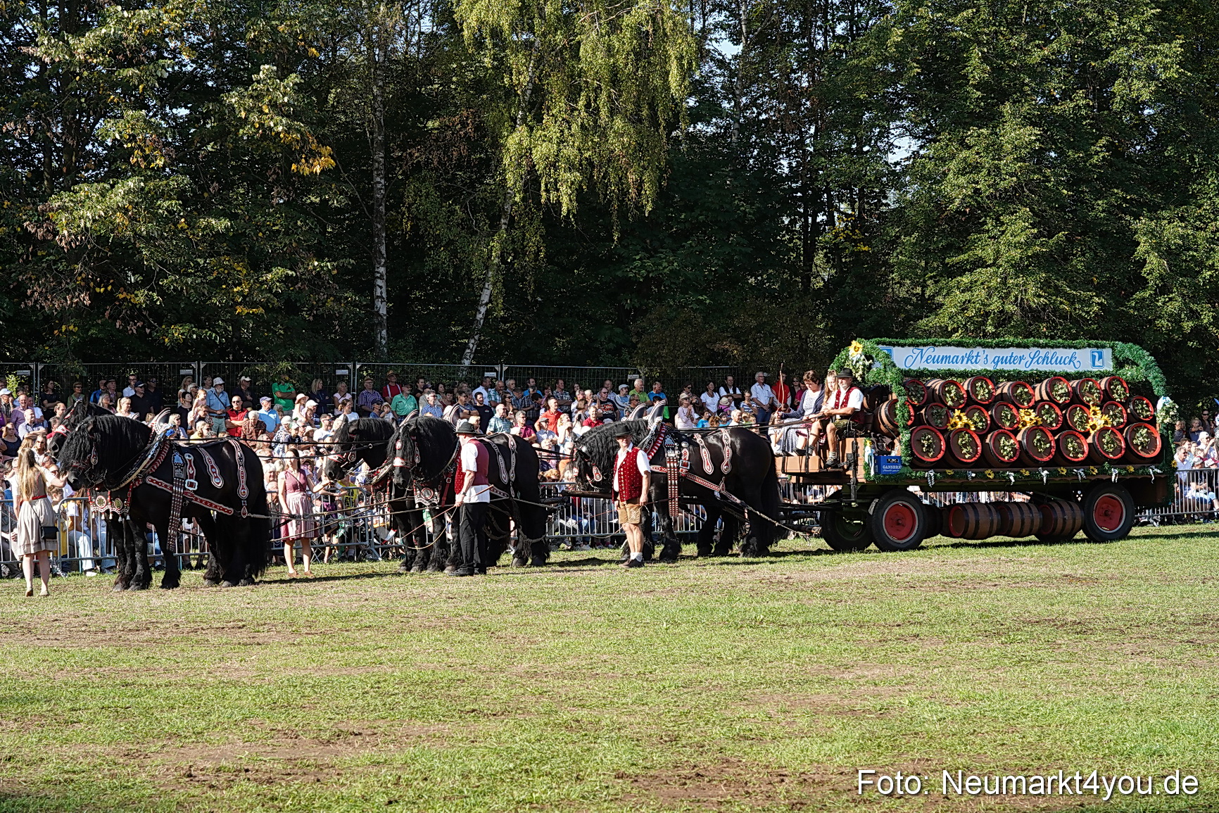 Pferde und Fohlenschau 2022 0061 
